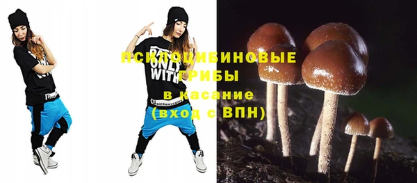 мяу мяу мука Алексин