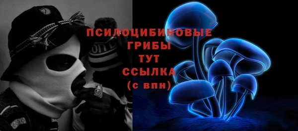 гидропоника Алзамай