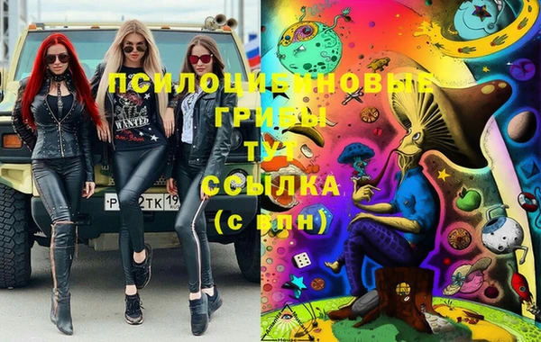 мяу мяу мука Алексин