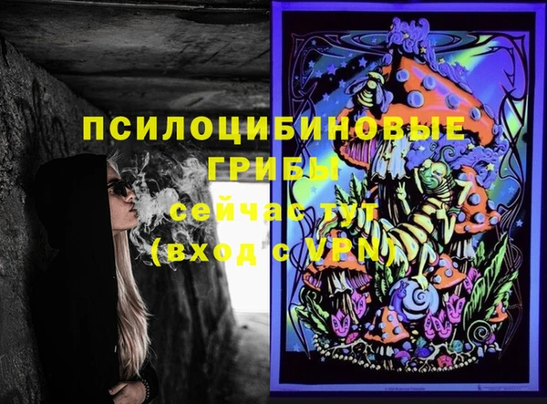 ПСИЛОЦИБИНОВЫЕ ГРИБЫ Покровск