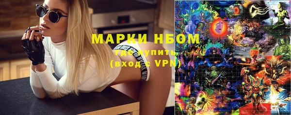 гидропоника Алзамай