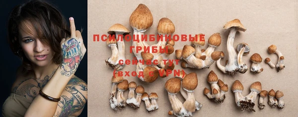 мяу мяу мука Алексин